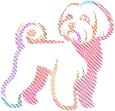 Kabarık beyaz önlüklü ve anlamlı gözlü bir Bichon Maltese köpeğinin şık bir tasviri. Evcil hayvan ürünleri, reklamlar ve dijital medya için ideal.