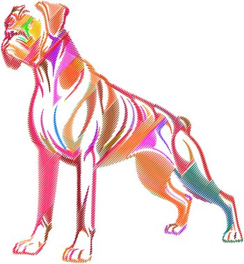 Regal Boxer köpeği oturarak poz veriyor. Sanat eserleri, cinsin ayırt edici kas yapısını, anlamlı yüzünü ve karmaşık gölgeleme ve kalın çizgilerle süslü ceketini yakalar. Evcil hayvan tasarımları, markalaşma, baskılar ve eğitim materyallerinde kullanım için ideal.