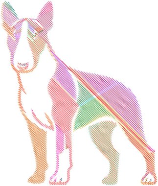 Amerikan Bulldog 'unun tasviri, kaslı yapısını ve ayırt edici özelliklerini gösteriyor.