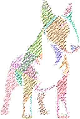 Amerikan Bulldog 'unun tasviri, kaslı yapısını ve ayırt edici özelliklerini gösteriyor.