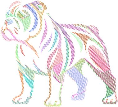 Amerikan Bulldog 'unun tasviri, kaslı yapısını ve ayırt edici özelliklerini gösteriyor.