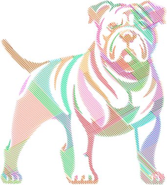 Amerikan Bulldog 'unun tasviri, kaslı yapısını ve ayırt edici özelliklerini gösteriyor.