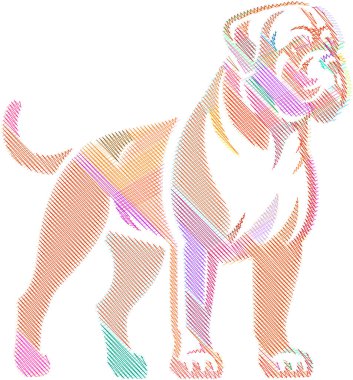 Güçlü bir Bullmastiff örneği, kaslı yapısını ve özenli ifadesini sergiliyor. Evcil hayvan tasarımları, markalaşma, baskılar ve eğitim materyallerinde kullanım için ideal.