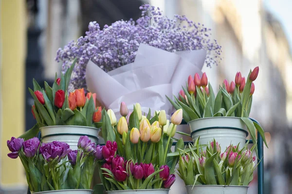 Market stands with sell of tulip flowers. Advertising stand with multicolored tulip flowers.