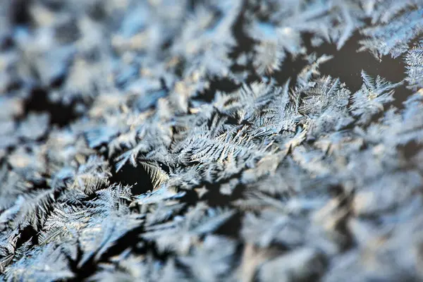 Buz desenleri: Soyut Buz oluşumları Bir Pencere üzerinde. Dondurucu sıcaklıkların oluşturduğu hassas ve soğuk desenleri vurguluyor..