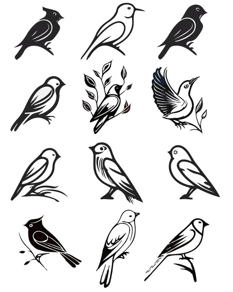 Векторный Рисунок Черно Белый Набор Различных Птиц Вашего Дизайна — стоковый вектор