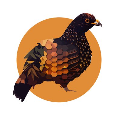 Capercaillie 'nin yaratıcı çizimi beyaz arka planda izole edildi. Tasarımın için..