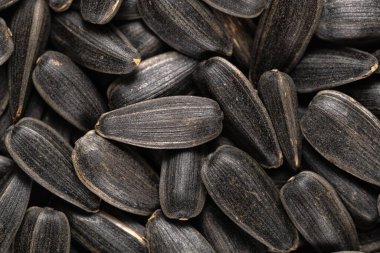 Organik siyah ayçiçeği tohumlarının makro görüntüsü, doku ve arkaplan.