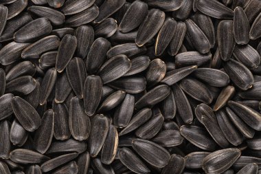 Organik siyah ayçiçeği tohumlarının makro görüntüsü, doku ve arkaplan.