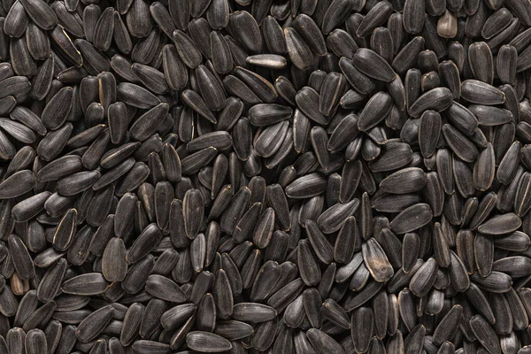Macro image of organic black sunflower seeds, texture and background.