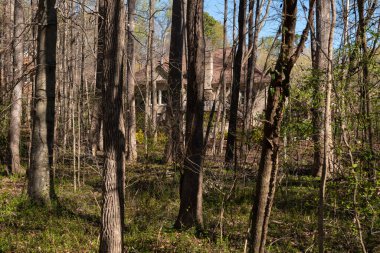 Ormana saklanmış, kısmen gözden uzak gizli bir köşk. Gayrimenkul ve ev sahipliği kavramı.