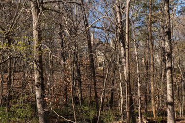 Ormana saklanmış, kısmen gözden uzak gizli bir köşk. Gayrimenkul ve ev sahipliği kavramı.