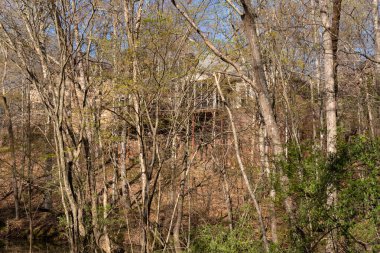Ormana saklanmış, kısmen gözden uzak gizli bir köşk. Gayrimenkul ve ev sahipliği kavramı.