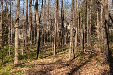 Ormana saklanmış, kısmen gözden uzak gizli bir köşk. Gayrimenkul ve ev sahipliği kavramı.