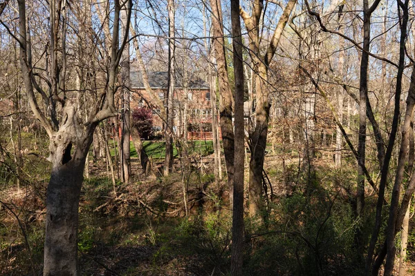Rumah Tersembunyi Terselip Hutan Sebagian Tersembunyi Dari Pandangan Real Estate — Stok Foto