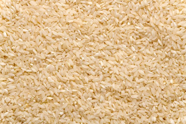 Karolína Plantáž Rýže Textury Pozadí Detailní Záběr Jižní Karolína Zlatá — Stock fotografie