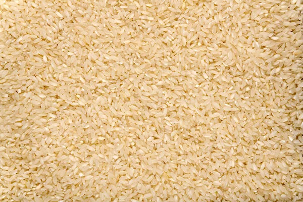 Καρολίνα Φυτεία Ρύζι Υφή Φόντο Closeup Νότια Καρολίνα Χρυσό Ρύζι Εικόνα Αρχείου