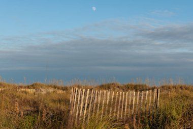 Sahildeki kum tepecikleri doğayı korumak ve çevredeki aşınmaya dayanmak için kurulmuştur..