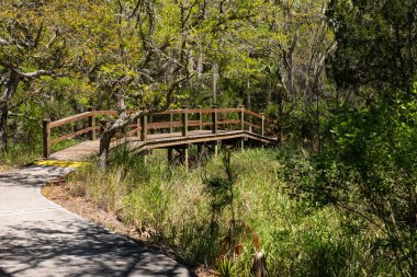 Vahşi Kumullar Resort, Palms Adası, Güney Carolina 'da sahil yolu doğa yolu..