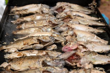 Kara ızgarada tilapia balığı kızartıyorum. Parti konsepti için yemek servisi.