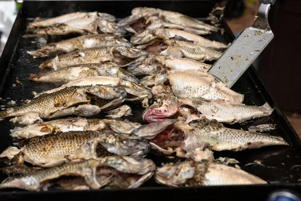 Kara ızgarada tilapia balığı kızartıyorum. Parti konsepti için yemek servisi.