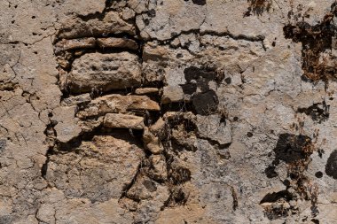 Grunge duvarının dokusu. Eski grunge duvarının dokusu.