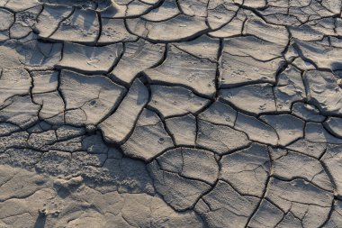 Dried mud texture. Dried mud waves from the mud volcanos site in Berca, Buzau, Romania. clipart