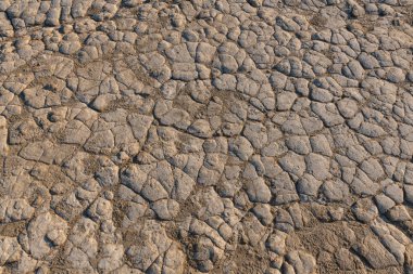 Kurumuş çamur dokusu. Romanya 'nın Berca kentindeki çamur yanardağlarından kurumuş çamur dalgaları.