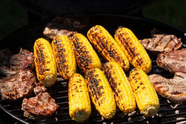 Close-up of corn and meat grilling on a barbecue. The corn is charred and golden, while the meat sizzles beside it, capturing the essence of summer cooking. clipart