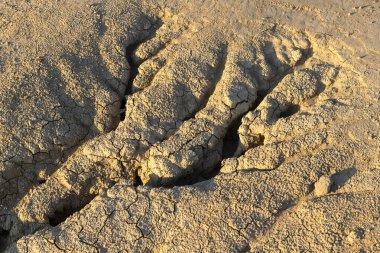 Çamur yanardağında güneşte pişirilmiş çamur dokusunun detaylı görüntüleri, kuru ve kurak bir ortamda doğal erozyon desenleri ve toprak renklerini gösteriyor..