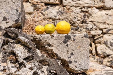 Yunanistan 'ın Zakynthos kentindeki güneşli bir taşın üzerinde kırsal taştan bir duvara yaslanmış üç olgun narenciye meyvesi duruyor..