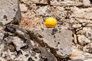 Yunanistan 'ın Zakynthos kentindeki yıpranmış bir taşın üzerinde duran tek bir olgun limon sıcak Akdeniz güneş ışığıyla yıkanmış..