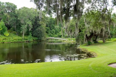 Charleston, SC 'deki Middleton Place Çiftliği' nde sakin bir gölet. İspanyol yosunlarıyla örtülmüş meşe ağaçları çerçeveli ve uzak bir ahşap köprü..