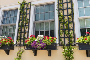 Kırmızı, beyaz ve mor çiçekli canlı çiçek kutuları Charleston şehir merkezinde tarihi bir evi süslüyor..