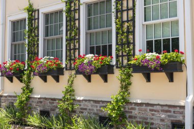 Kırmızı, beyaz ve mor çiçekli canlı çiçek kutuları Charleston şehir merkezinde tarihi bir evi süslüyor..