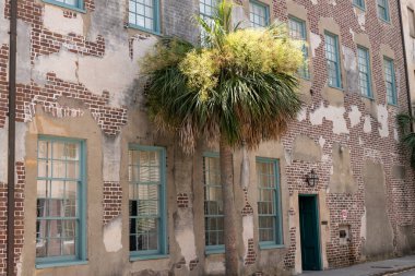 Charleston, Güney Carolina, ABD - 2 Temmuz 2025: Tarihi Charleston, Güney Carolina 'daki Dock Street Theatre' un sahne arkası girişi, panjurlar ve palmiye ağaçları.