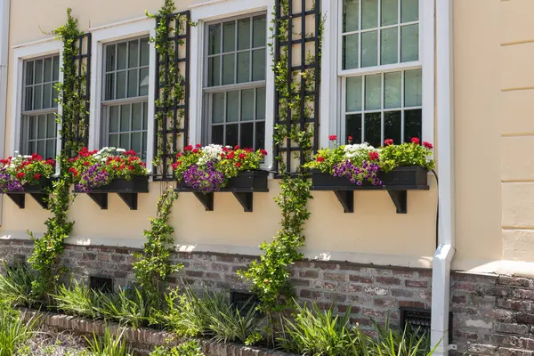Kırmızı, beyaz ve mor çiçekli canlı çiçek kutuları Charleston şehir merkezinde tarihi bir evi süslüyor..