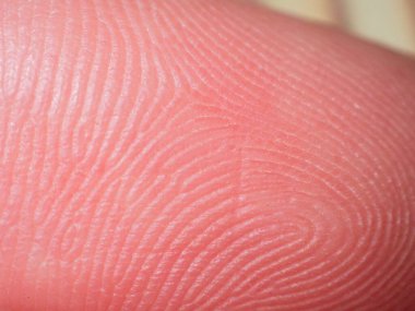 Parmak izi dokusu makro fotoğraf DNA 'sı