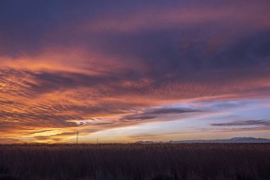 Kırsal ve gökyüzü ile günbatımı manzarası. Günün son saatinin pembe renkleriyle donatılmış bir gökyüzü. Summer, doğanın tadını çıkarma zamanı. Yüksek kalite fotoğraf