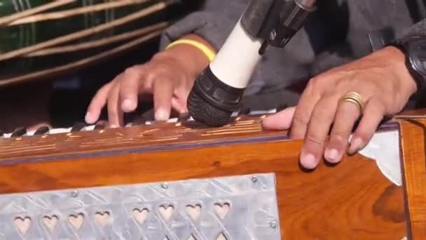 Eller Akordiyon Perküsyon Çalıyor — Stok video