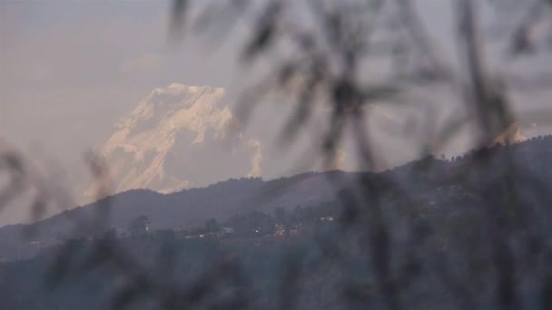Landschaft Mit Gebirge Hinter Ästen Schwarzlicht Folie Verfilmung Von Links — Stockvideo