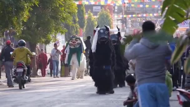 Människor Buffalo Kostym Promenader Gatan Omgiven Människor Nära Träd Statiska — Stockvideo