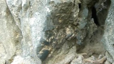 Deniz suyuna yakın kaya dağları. Sağdan Sola Görüntü