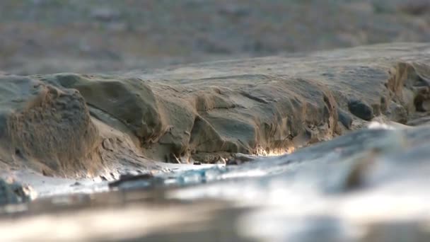 Rocks Shore Water Shining Static — Stok video