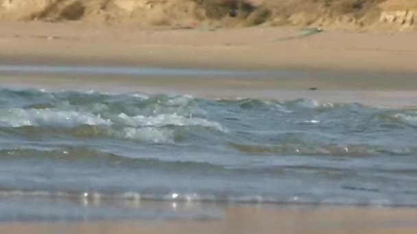 Waves Sand Beach Shore Static — Stok video