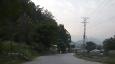 Driving Fast Past Tree Trunks And Fence - Slide - Left To Right