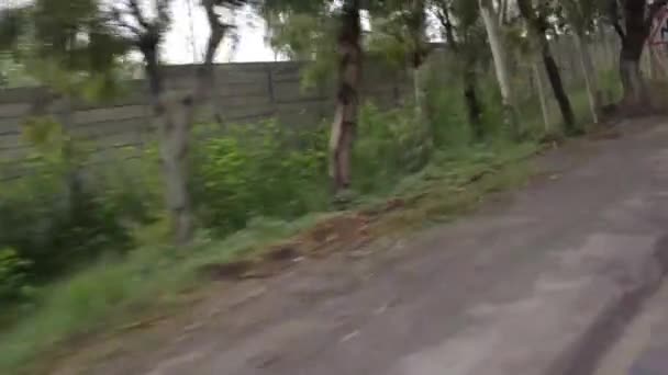 Driving Fast Tree Trunks Fence Slide Left Right — Vídeo de Stock