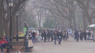 Central Park 'ta kalabalık bir sokak. Sağdan Sola Görüntü