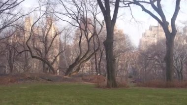 Central Park 'ın içinde ağaçlarla çevrili. Sağdan Sola Görüntü
