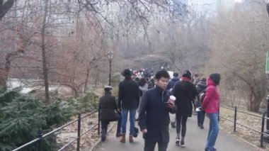 Etrafı Flora 'yla çevrili Park' taki manzaranın keyfini çıkaran insanlar.